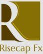 Risecap Fx Advisory Solution LLP logo